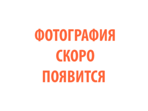 Фото 67 - Горелка TECH MS 450.